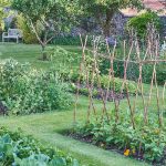 The War Against Lawn Weeds