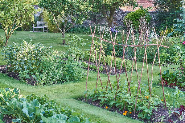 The War Against Lawn Weeds