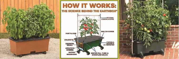 Container Gardening – February 2022 BOOM! Magazine