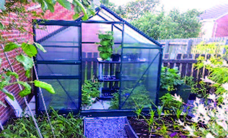 Will A Greenhouse Solve My Deer Problem?