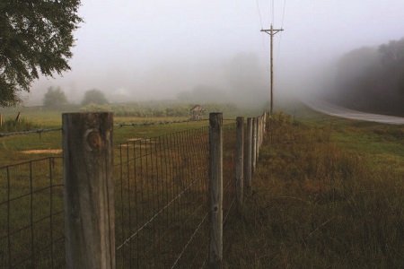 Growing Up in Rural South Alabama